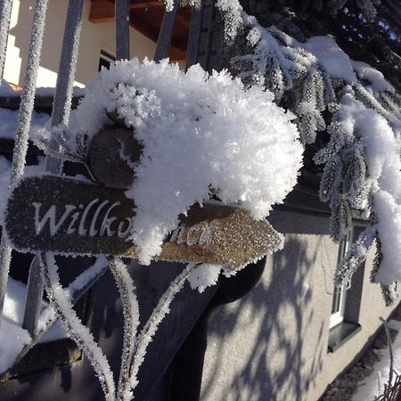 Appartement Schneefloeckchen Mayrhofen Kültér fotó
